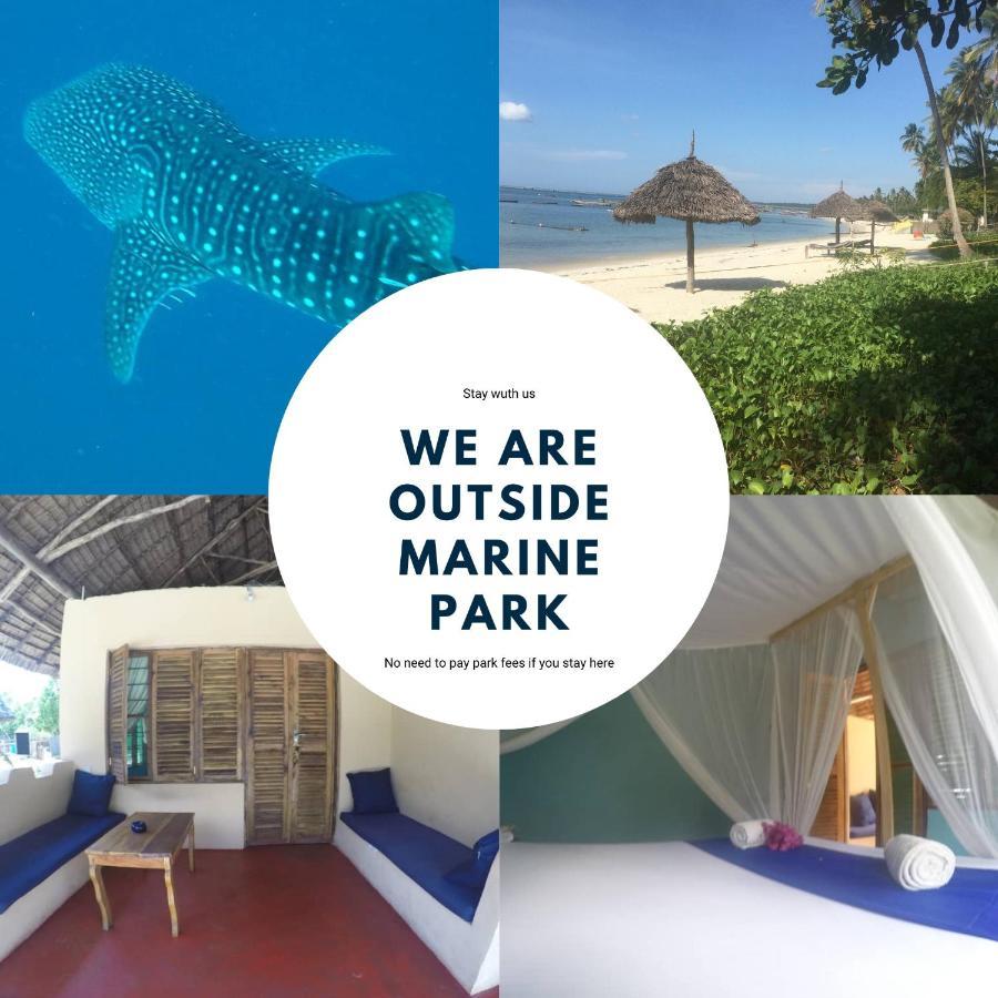 Bed and Breakfast Afro Whale Shark Safari Kilindoni Екстер'єр фото