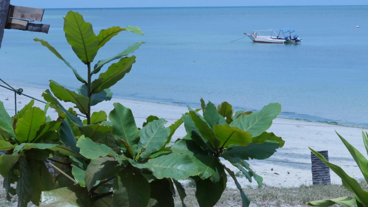 Bed and Breakfast Afro Whale Shark Safari Kilindoni Екстер'єр фото
