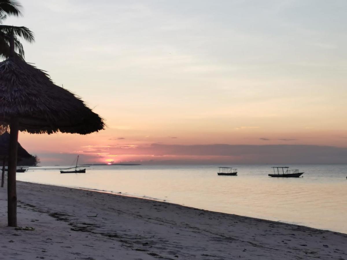 Bed and Breakfast Afro Whale Shark Safari Kilindoni Екстер'єр фото