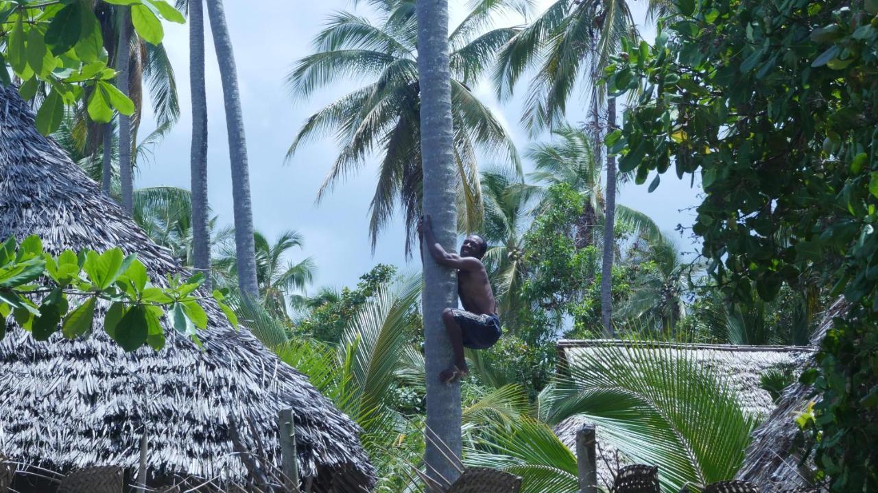 Bed and Breakfast Afro Whale Shark Safari Kilindoni Екстер'єр фото